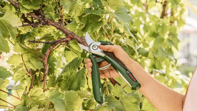 Garden tools — all is done quickly and safely with Bosch.